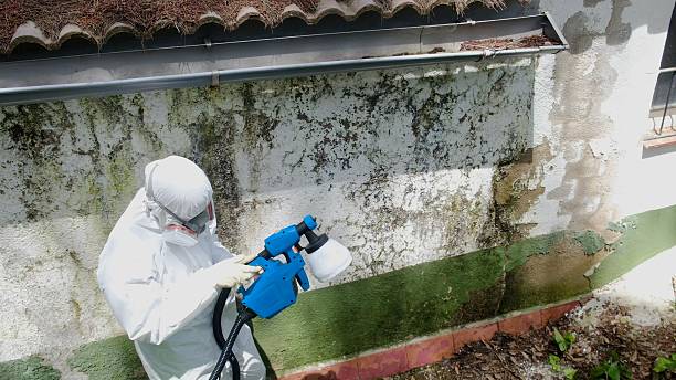 Top rated local Attic Mold Remediation specialists in Millersburg, OR